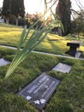 The Greenery in Memory
