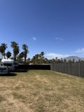 Sunlit Oasis: Vehicles Amid Coachella's Palms