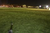 Field of Grass at Coachella