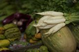 Bountiful Harvest