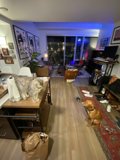 Furry Friends In A Cozy Abode