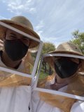 Beekeeping in Carmel
