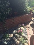 A Decorative Rock Wall with Flourishing Plants