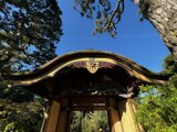 Wooden Shelter with Tree in the Background