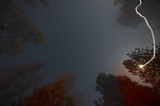 Moon Trail Light Painting Over Lassen Forest Night Sky