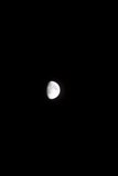 Lunar Glimmer
