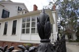 Rustic Charm in the City