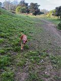 Running Free in McLaren Park