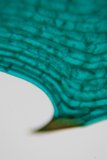 Green Leaf Close-Up