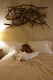 Home Decor Comes Alive with Man's Best Friend