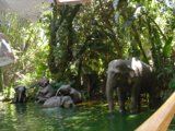 The Elephant Dip