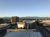 Urban Jungle