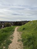 A Stroll Through Lime Ridge