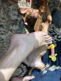 A Furry Companion