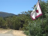 Proud Flag Flying High