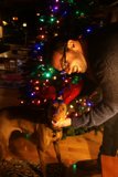 Pawsitively Perfect Holiday