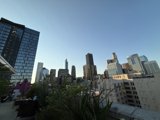 Urban Oasis