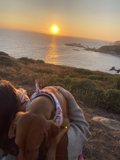 Sunset Serenade