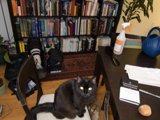 The Bookshelf Companion