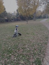 Young Child Learning to Ride Balance Bike