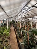 The Flourishing Greenhouse