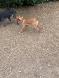 Playtime in the Park