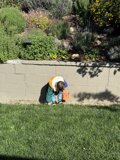 Little Gardener's Day Out