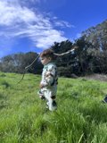 Wesley's Field Adventure