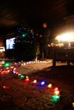 Festive Living Room Light Display