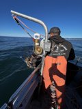 Fishing in the Gulf of Farallones