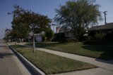 A Walk Through the Suburbs