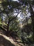 Nature's Haven