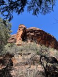 Majestic Rock Formation Amidst the Wilderness