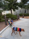 Strolling Through Carmel