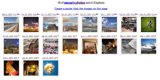 Collage of Nature and Wildlife