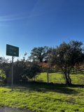 Green Road Sign amongst a Scenic Landscape