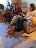 A Cozy Afternoon on the Couch with Canine Companions