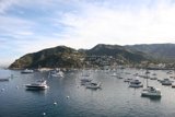 Yacht Haven on the Waterfront