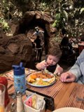 Jungle Feast Adventure