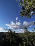 Blue Sky and Lush Foliage in Tesuque