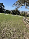 Serene Park Landscape at Alamo Square