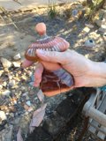 Mysterious Treasure Found in the Desert
