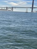 Sailing under the Golden Gate