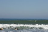 Catching Waves: An Ocean Adventure