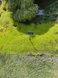 No Trespassing in the Greenery