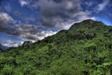 Majestic Mountain Covered in Verdant Vegetation and Ethereal Clouds