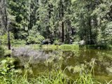 Serene Waters of Yosemite