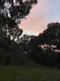 Horizon's Edge
