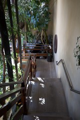 Serene Japanese-Inspired Indoor Garden Staircase with Natural Light