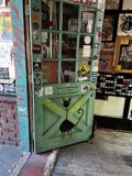 The Cat on the Green Door